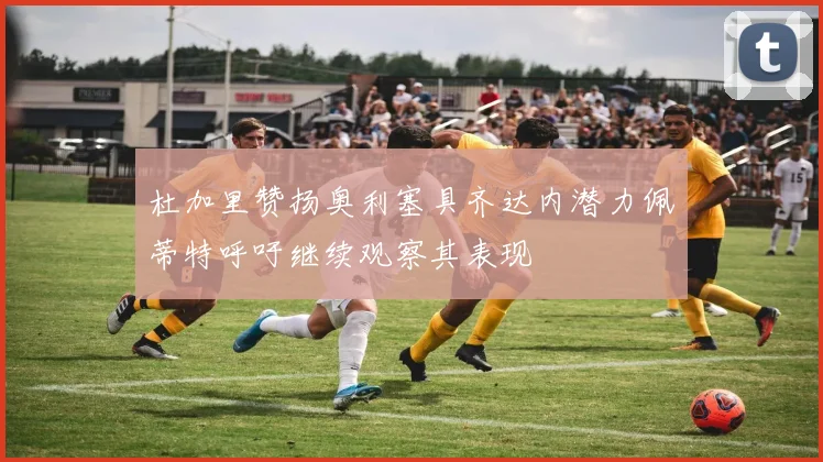 杜加里赞扬奥利塞具齐达内潜力佩蒂特呼吁继续观察其表现
