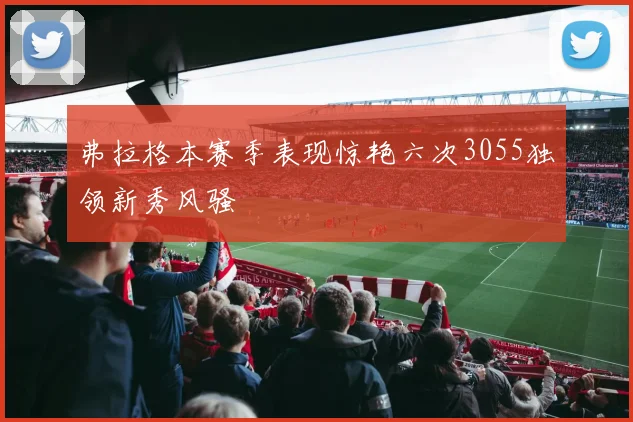 弗拉格本赛季表现惊艳六次3055独领新秀风骚