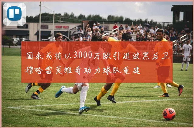 国米或将以3000万欧引进波黑后卫穆哈雷莫维奇助力球队重建