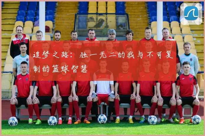 追梦之路：独一无二的我与不可复制的篮球智慧